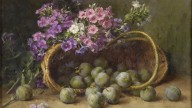 Phlox and Plums