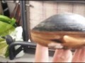 молюск-om-nom-nom