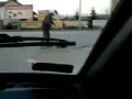 Бобр, сука опасный