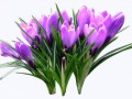 0_fb622_a3c2857d_orig