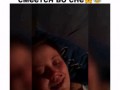Весело спит