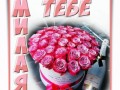 тебе-милая