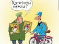 cgf3mert8n