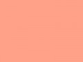 Ярко-мандариновый	#FFA089	255	160	137
