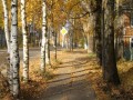 IMG_1552