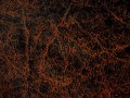 leather_texture347