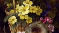 Still Life with Primroses, Violas, cherry Blossom and Geraniums and a Thrush's Nest
