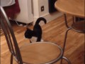 728292969_yapfiles.ru