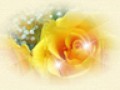 _2_arnusha