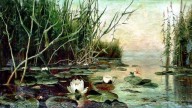с водяными лилиями