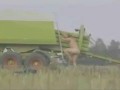 Человек-сено, или Спанч-боб по-русски))