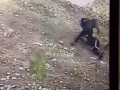 Совсем школьники обнаглели. Вдесятером на одного