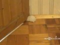 Как?
