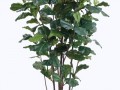 klipartz.com (1)