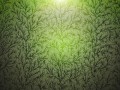 Drawn_wallpapers_Vector_Wallpapers_Branches_of_Wood_Texture_022652_