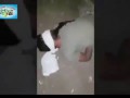 Расстрел джихадиста по-курдски (18+)