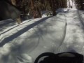 Не разошлись с лосем