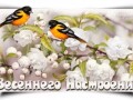 весеннего-настроения