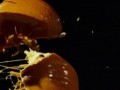 Smashing Pumpkins in slow motion - 1000 FPS