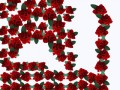 arka blume rot 1