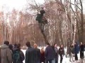 Идиоты сломали дерево