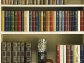 книжный шкаф
