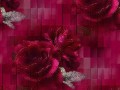 11_2