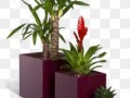 kisspng-flowerpot-garden-small-potted-plants-5b0c4f5ea19880.8169477715275334066619-min