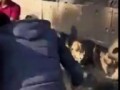 захватили экипаж танка