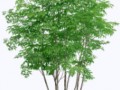 _imeni_yapfiles.ru (1)