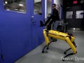 Тестирование робопса Robustness