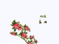 HF_Shoes05(ц-3)