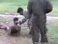 raped and murdered