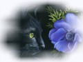 44