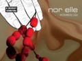 Nor Elle - Kombologi
