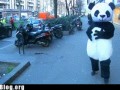 epic-fail-fail-nation-panda-wizardry-fail