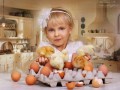 Цыпушата 6
