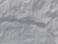 7e544539[1]