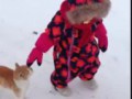 Коварный кот