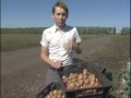 Ляпы телеведущих Вести - Башкортостан