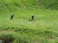 Собаки задерживают нарушителя гос. границы