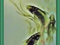 koiglass_yapfiles.ru