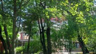 20260729_130418 копия