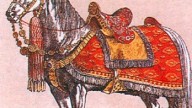 32