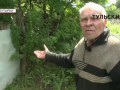 В Тульской области женщина умерла после укуса змеи. РЕПОРТАЖ