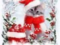 1котик