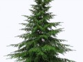 _2_yapfiles.ru