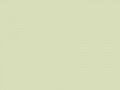 Очень бледный зеленый	#D8DEBA	216	222	186