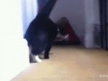 https__vk_com_gif_fak___