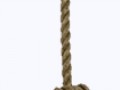 bdsm seil